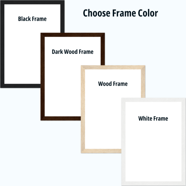 Vertical Frame Colors